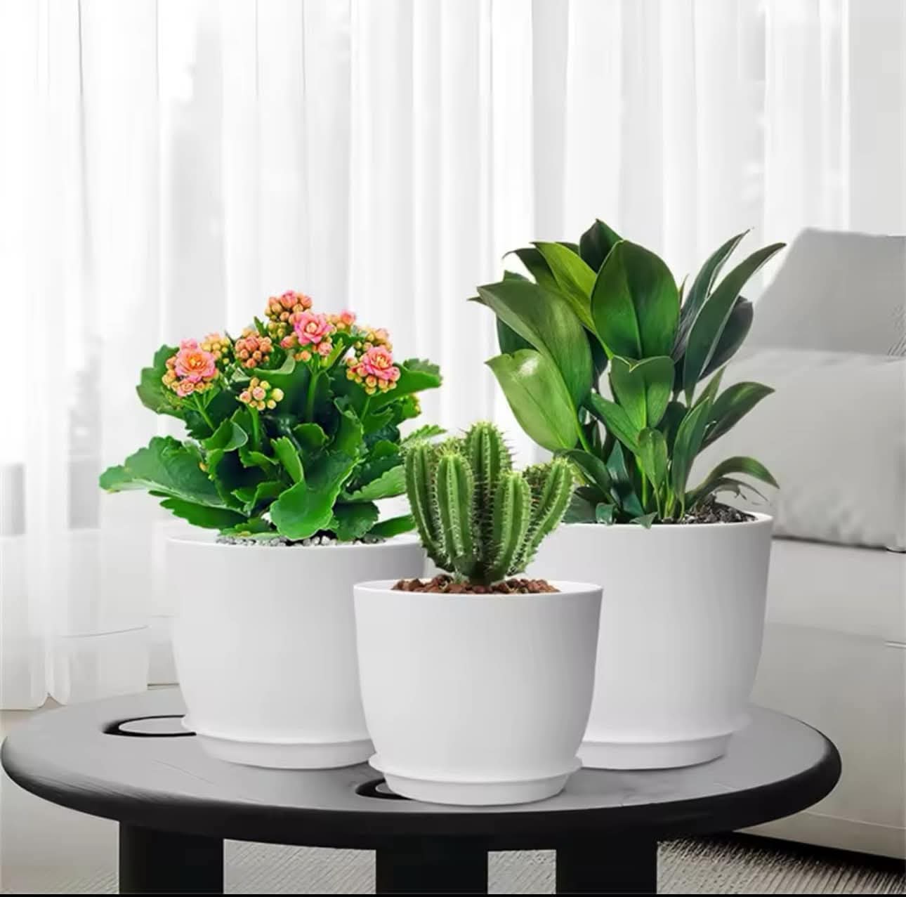 Plant Pots Indoor with Drainage Home Décor Flower Pots for Indoor