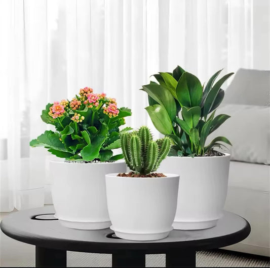 Plant Pots Indoor with Drainage Home Décor Flower Pots for Indoor