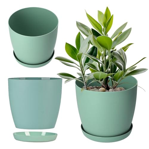 Plant Pots Indoor with Drainage Home Décor Flower Pots for Indoor